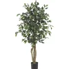 Outlet Ficus Silk Tree, 4 ft. Trees & Topiaries