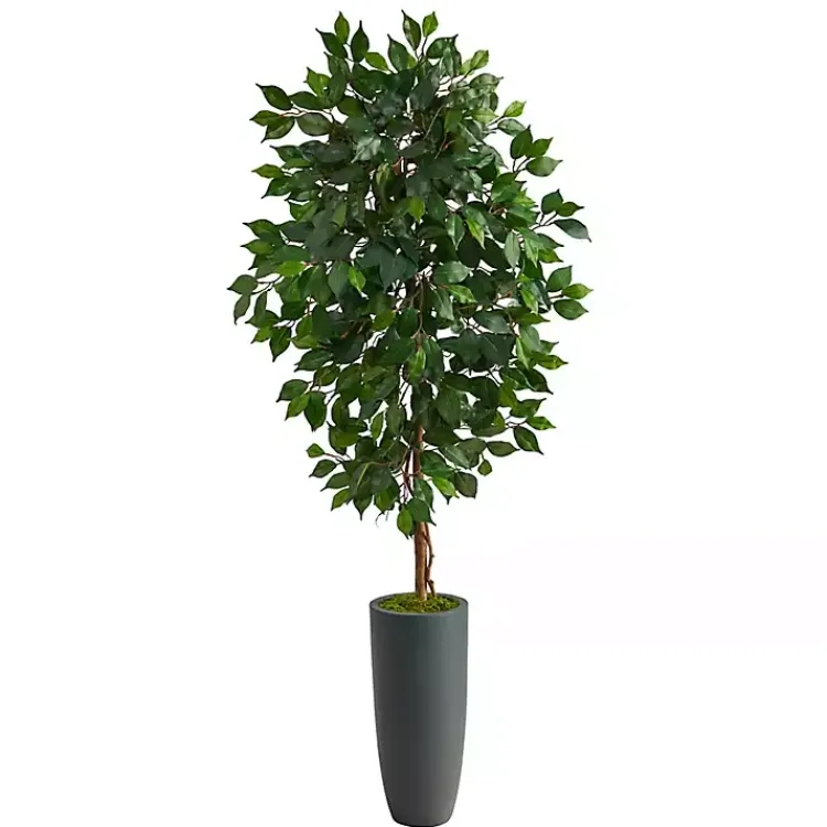 Outlet Ficus Tree in Gray Oblong Planter, 60 in. Trees & Topiaries