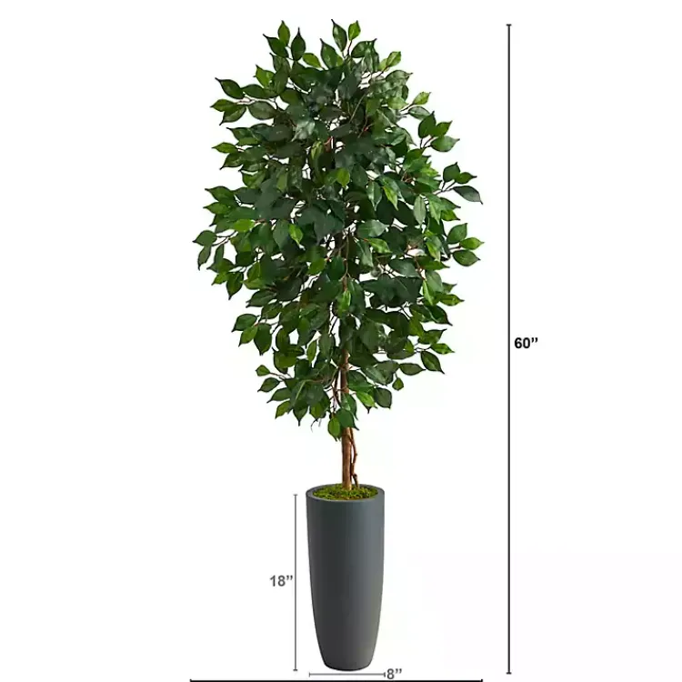 Outlet Ficus Tree in Gray Oblong Planter, 60 in. Trees & Topiaries
