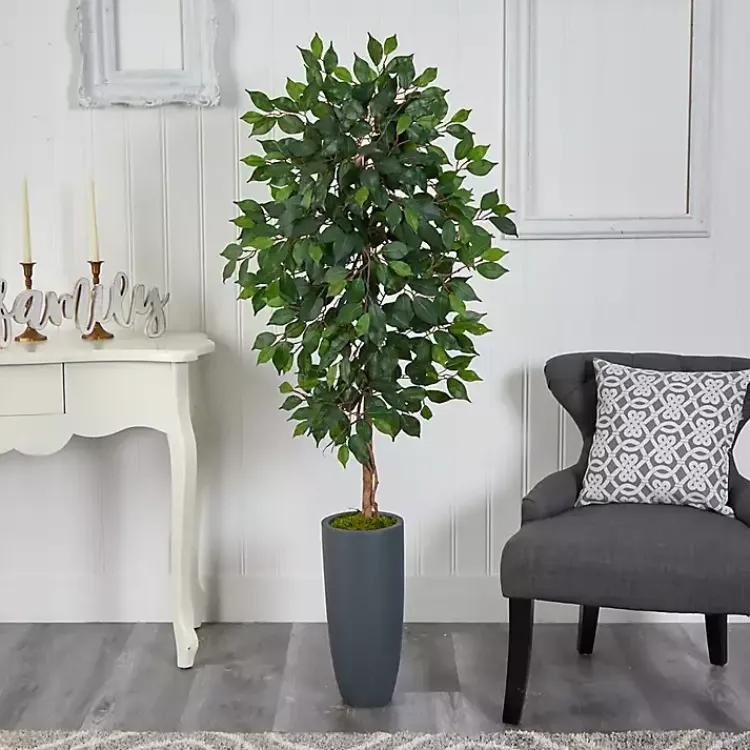 Outlet Ficus Tree in Gray Oblong Planter, 60 in. Trees & Topiaries