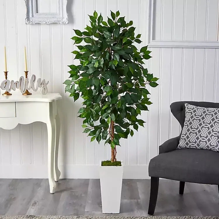 Best Ficus Tree in Mossy White Tower Planter Trees & Topiaries