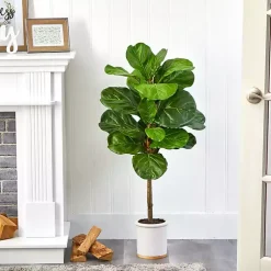 Best Fiddle Leaf Fig in White Ceramic Planter, 42 in. Trees & Topiaries