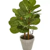 Hot Fiddle Leaf Plant Arrangement, 22 in. Trees & Topiaries