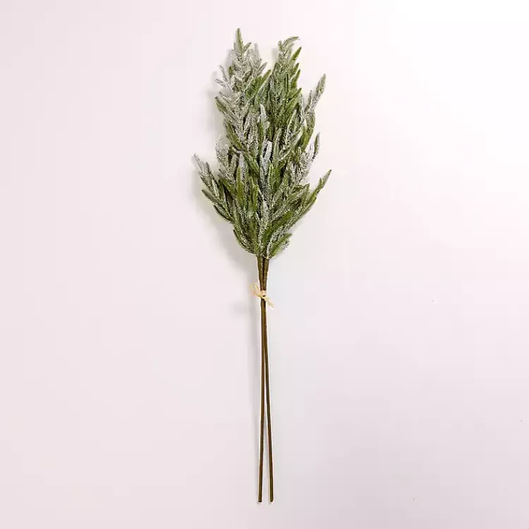 Hot Flocked Norfolk Pine Bundle Stems & Bouquets