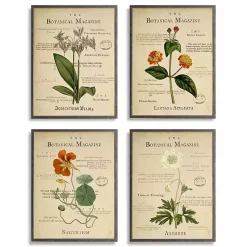 Kirklands Home Framed Art|Flower Illustrations Framed Art Prints, Set of 4