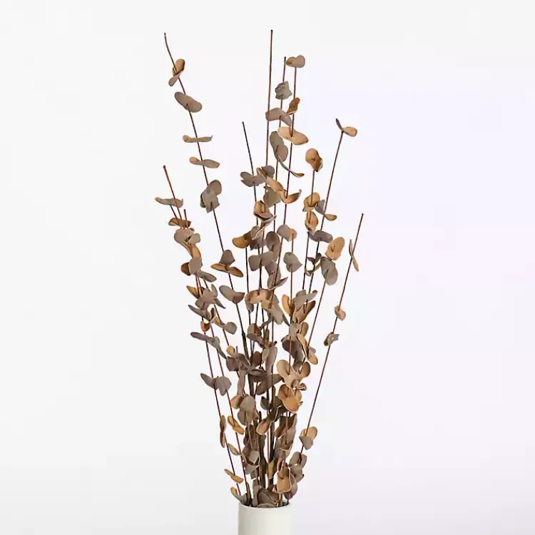 Outlet Foam Eucalyptus Sprays, Set of 2 Stems & Bouquets