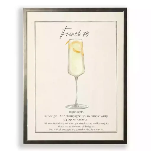 Kirklands Home Framed Art|French 75 Framed Art Print Red