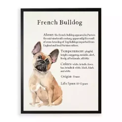 Kirklands Home Wall Quotes & Signs|French Bulldog Boxer Facts Framed Wall Plaque