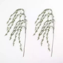 Outlet Frosted Draping Eucalyptus Stems, Set of 2 Stems & Bouquets