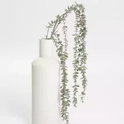 Outlet Frosted Draping Eucalyptus Stems, Set of 2 Stems & Bouquets