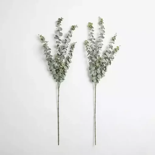 Sale Frosted Eucalyptus Stems, Set of 2 Stems & Bouquets
