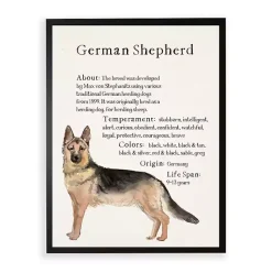 Kirklands Home Wall Quotes & Signs|German Shepherd Facts Framed Wall Plaque
