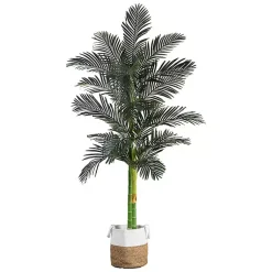 Discount Golden Cane Palm Tree in Woven Planter, 8 ft. Trees & Topiaries