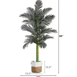 Discount Golden Cane Palm Tree in Woven Planter, 8 ft. Trees & Topiaries