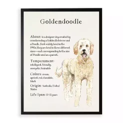 Kirklands Home Wall Quotes & Signs|Goldendoodle Facts Framed Wall Plaque
