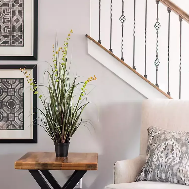 Grass and Eucalyptus Potted Plant Trees & Topiaries