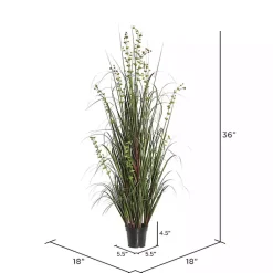 Grass and Eucalyptus Potted Plant Trees & Topiaries