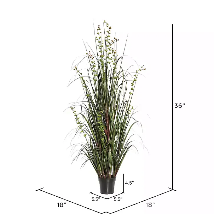 Grass and Eucalyptus Potted Plant Trees & Topiaries