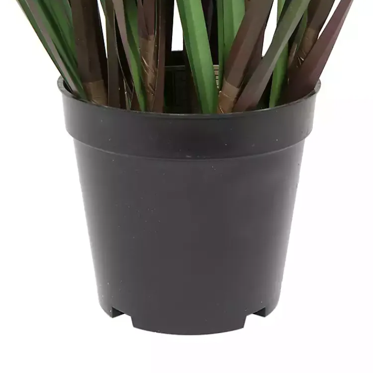 Grass and Eucalyptus Potted Plant Trees & Topiaries