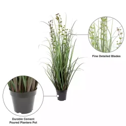 Grass and Eucalyptus Potted Plant Trees & Topiaries