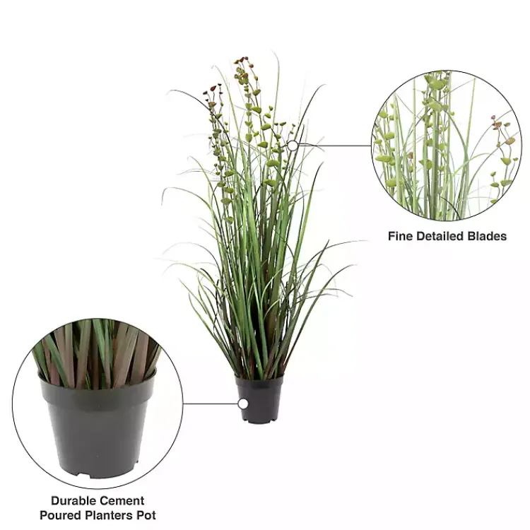 Grass and Eucalyptus Potted Plant Trees & Topiaries