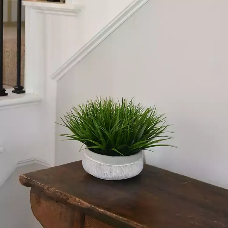 Online Grass Arrangement in Gray Ceramic Bowl Arrangements & Greenery