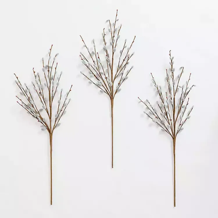 Best Willow Stems, Set of 3 Stems & Bouquets