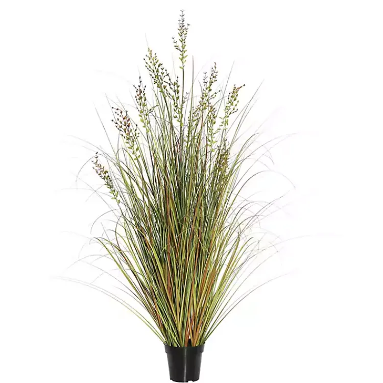 Clearance Green and Brown Potted Grass, 36 in. Trees & Topiaries
