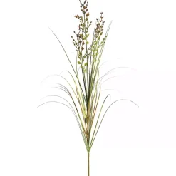 Clearance Green and Brown Potted Grass, 36 in. Trees & Topiaries