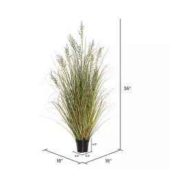 Clearance Green and Brown Potted Grass, 36 in. Trees & Topiaries