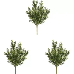 Sale Boxwood Bush Stems, Set of 3 Stems & Bouquets