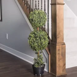 Green Double Ball Boxwood Potted Topiary Trees & Topiaries