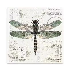 Kirklands Home Canvas Art|Green Dragonfly Canvas Art Print
