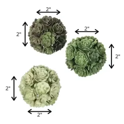Green Echeveria Orbs, Set of 3 Bowl Filler
