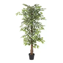 Discount Green Ficus Potted Tree, 73 in. Trees & Topiaries