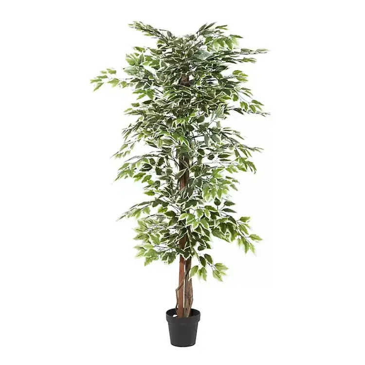 Discount Green Ficus Potted Tree, 73 in. Trees & Topiaries