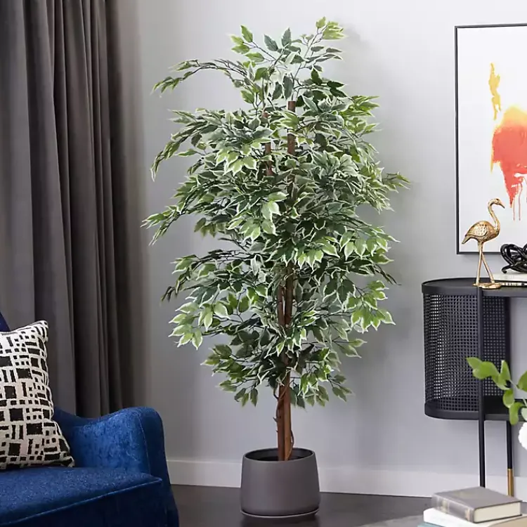 Discount Green Ficus Potted Tree, 73 in. Trees & Topiaries