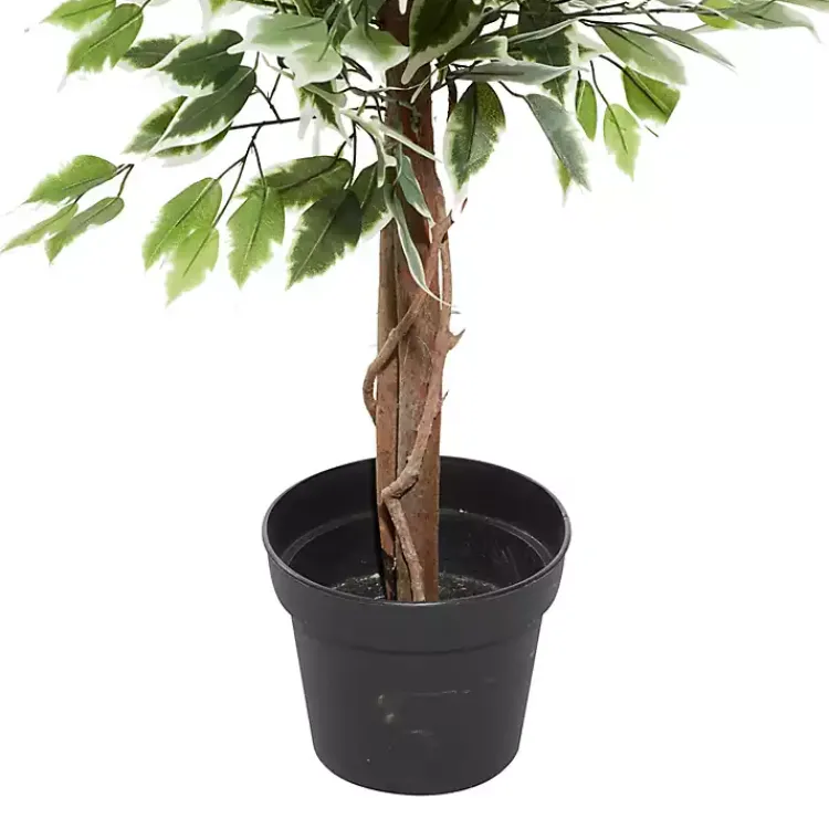 Discount Green Ficus Potted Tree, 73 in. Trees & Topiaries