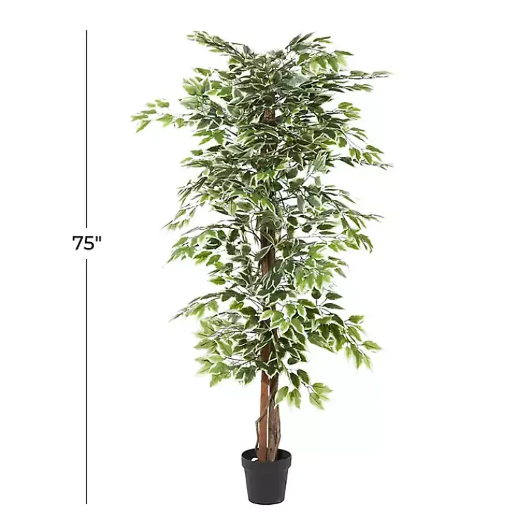 Discount Green Ficus Potted Tree, 73 in. Trees & Topiaries
