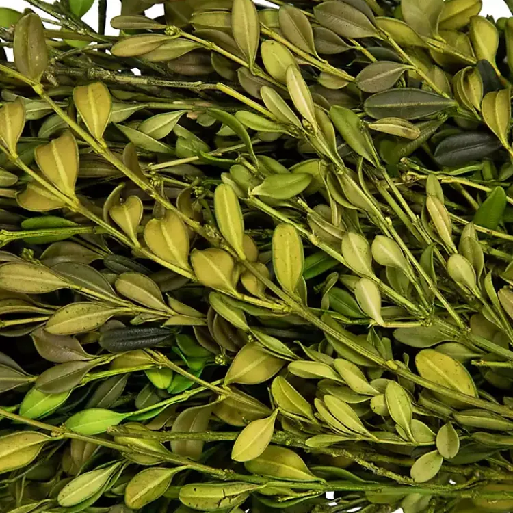 Online Foliage Wreath Wreaths