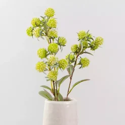 Online Lucky Berry Sprays, Set of 2 Stems & Bouquets