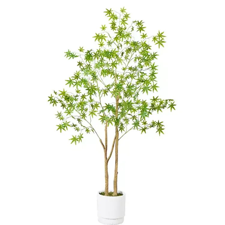 Discount Green Maple Tree in White Planter Trees & Topiaries