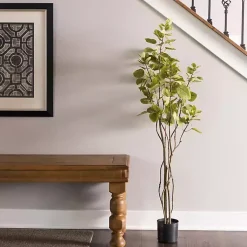 Online Green Potted Cotinus Coggygria Tree, 4 ft. Trees & Topiaries