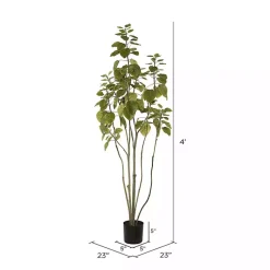 Online Green Potted Cotinus Coggygria Tree, 4 ft. Trees & Topiaries