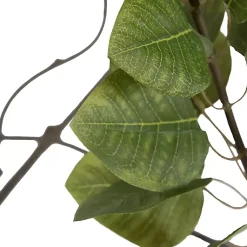 Online Green Potted Cotinus Coggygria Tree, 4 ft. Trees & Topiaries