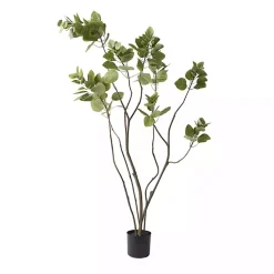 Online Green Potted Cotinus Coggygria Tree, 4 ft. Trees & Topiaries