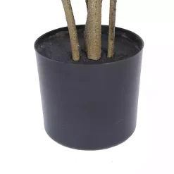 Online Green Potted Cotinus Coggygria Tree, 4 ft. Trees & Topiaries