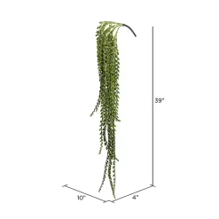 Best Senecio Bush Stems & Bouquets