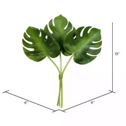 Online Split Philodendron Leaf Bundles, Set of 2 Stems & Bouquets