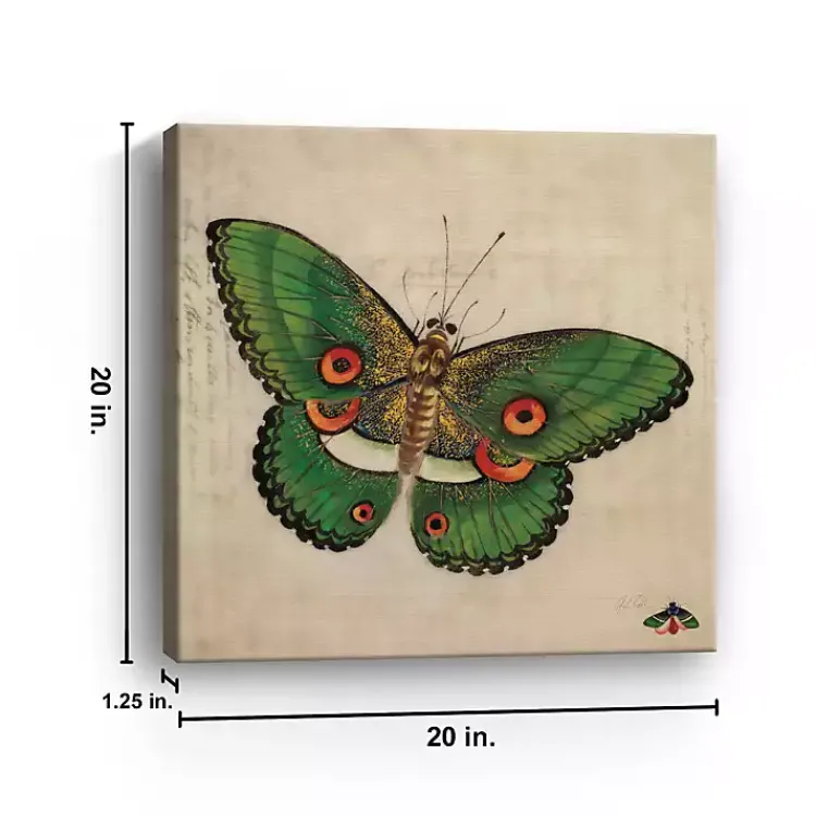 Kirklands Home Canvas Art|Green Vintage Butterfly Canvas Art Print